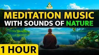 Meditation With the Sounds of Nature | [1 Hour] Soothing Meditation Music [Recommended ☑️]