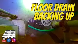 Floor drain backing up