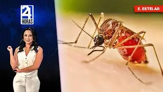 Noticias, domingo 22 de febrero del 2026 | 24 Horas | Ecuador
