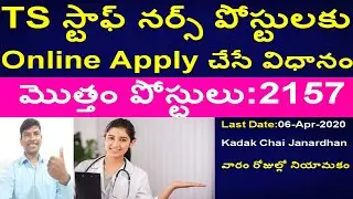 How to apply for staff nurse in Telangana| TS Staff Nurse Application Process in Telugu|TS Govt Jobs