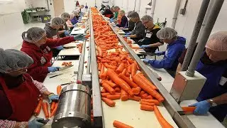 Southwestern Ontario Gleaners
