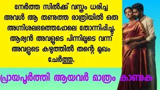 നേർത്ത സിൽക്ക് വസ്ത്രം ധരിച്ച അവൾ ആ തണുത്ത രാത്രിയിൽ ഒരു അഗ്നിശലഭത്തെപ്പോലെ