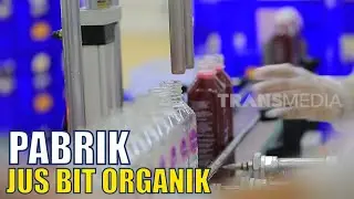 Berkunjung ke Pabrik JUS BIT ORGANIK Si Buah Super Sehat | SI UNYIL (20/03/20)