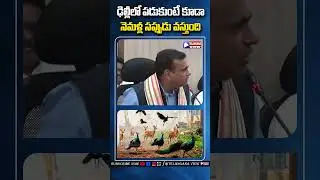 MP Chamala Kiran Kumar Reddy CommentsHCU Lands Issue | #congress  #hculandissue #shorts
