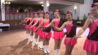 O pohár starosty města Polná 2014 - Berušky Čáslav