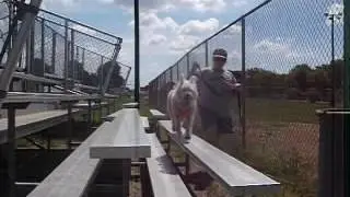 Avery Balance