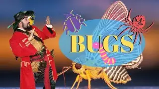 Pirate Captain Jay Learns about Bugs | Animal Learning Videos for Kids