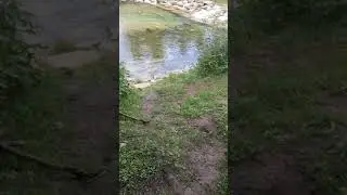 fischen an der T&ouml;ss