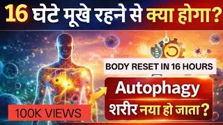 भूखे रहने से क्या शरीर नया होता है ? 12–16 घंटे का उपवास | Autophagy Explained