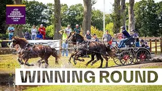 Daniel Schneiders the Marathon Master! 🔥 | FEI Driving European Championship L&auml;hden 2025
