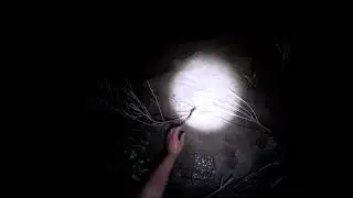 #LegendaryFishing #ZacHammontree #TexasWildlife  Midnight adventures on the water