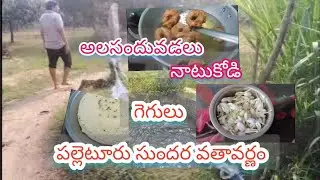 సంక్రాంతికి ఊరు వెళ్ళము 😍/family అంతా ఒకే చోటకలిసేది పండగలకు మాత్రమే/అంధరు కలిసి పండగ జరుపుకున్నం
