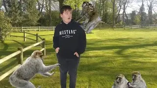 Ich bin im Affenpark und Vogelpark