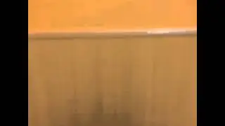 Am i a womfn vine