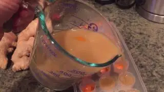 MAKING BUG BURGERS