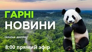 6 лютого прямий єфір