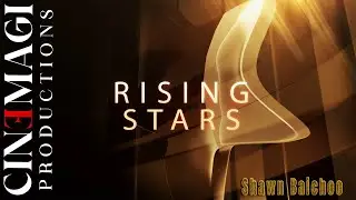 Shawn Baichoo - Master of Action and Voice