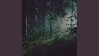 WISH I WAS DEAD
