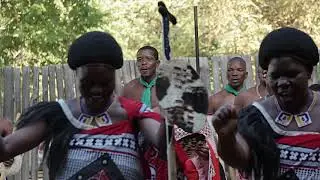 Harmondia - Kalumbu