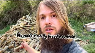 How we composted SIX pallets of moldy bread