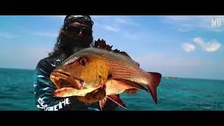 Andaman`s Rough Trail: Aomasa Chapter
