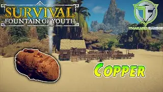 Survival: Fountain of Youth - Copper