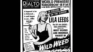 Wild Weed (USA, 1949)