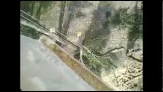 CHAINSAW MASTERS - No Job Too Big or Too Small