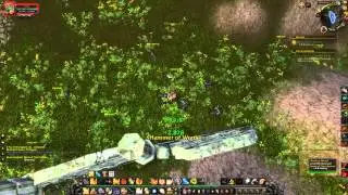 Seed of Their Demise Quest Playthrough - Mount Hyjal