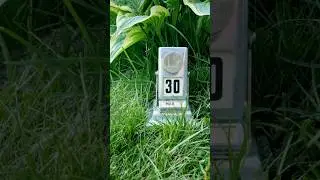 30 мая 2024 года (May 30, 2024) #shorts #ретрокалендарь #nature #May #spring