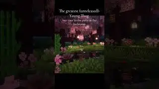 #thug #youngthugtypebeat #youngthugger #minecraft #chill #calm #trap #unreleased #unreleasedsongs