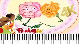 BabyTV - Rose and Carnation 4K Sheet Music