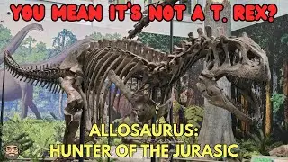 AN INTRODUCTION TO THE ALLOSAURUS, A LARGE THEROPOD DINOSAUR OF THE LATE JURASIC