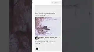 even animals have embarrassing moments #shorts
