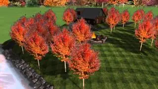 Ross Movie Green Oasis