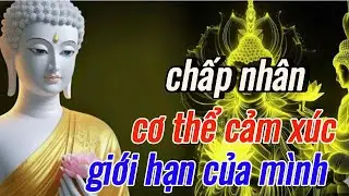 Phật Dạy: Chấp Nhận Co Thể - Cảm Xúc Và Giới Hạn Của Bản Thân Mình