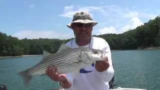 Jigging Stripers with Bucktail Swimbaits