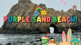 Big Sur- Point Sur Light Station & magical purple sand beach