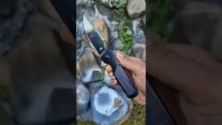 kizer militaw s45vn #edc #edcknife #blade #bushcraft #outdoors #edccarry #shorts #knives #knife