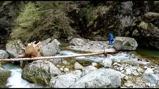 Cascada Iadolina🌍🌍🌍🇷🇴🇷🇴🇷🇴6 km de Coada Lacului Leșu,sub nivelul șoselei.se afla cascada!!!!