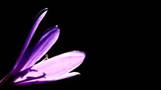 WEST | Dark Guitar Piano Underground Trap Beat | Deep Melodic Fast Hiphop Rap Instrumental 2019
