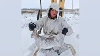 Охота на зайца с русской гончей. Снежные блохи!