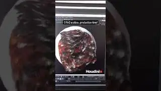Houdini Feather Rnd test