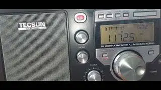 RNZ Pacific (New Zealand) 1131utc 280126. Vanuatu nightly news ID 1:20s