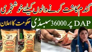 Gandam Subsidy announced |Govt Announces Rs. 3000 Subsidy on Wheat & DAP Fertilizer for Farmers 2025