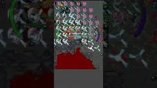 BETO HUMILLADO AO VIVO 1300ED | omarwalkers en #Twitch #TIBIA #WAR #PVP #PK