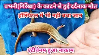 एक ऐसा जीव जिसके काटते ही मौत हो जाता है, एंटीवेनम भी जान बचा नही सकता,आइए देखते हैं कौन सा जीव है..