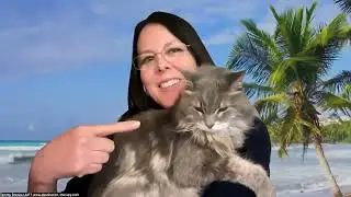 Post-Thanksgiving Anxiety Check-In: A Simple Reframe That Actually Helps (Feat. Shiloh the Cat!)