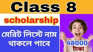 class 8 scholarship exam/ scholarship exam class 8// class 8 nmmse/ nmms class 8