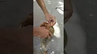 Narial todne ka nya tarika